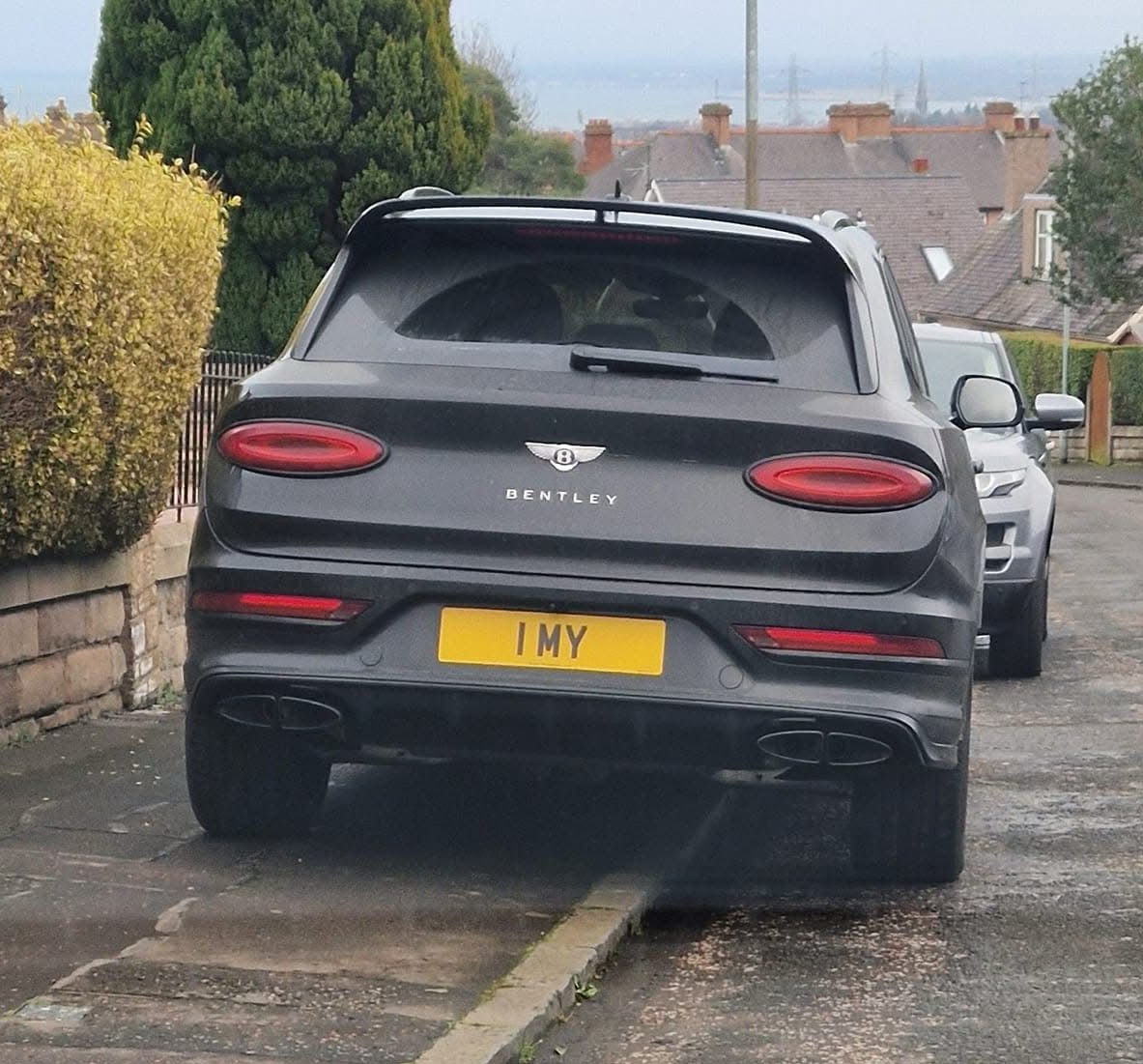 Number Plate 1 MY